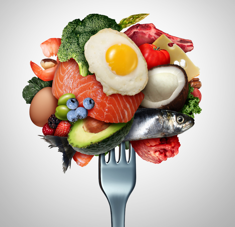 Decorative picture of healthy food on a fork, including salmon, egg, broccoli, avocado, coconut and more.